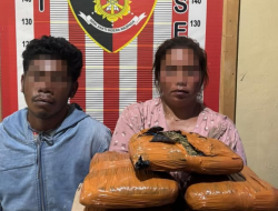 Polsek Barus Gagalkan Penyelundupan 5 Kg Ganja Asal Mandailing Natal, Dua Kurir Ditangkap Saat Hendak Transaksi