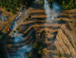 Skandal Ekspor Sawit Terungkap, 11 Tersangka Diduga Manipulasi HS Code Rugikan Negara hingga Rp14,3 Triliun