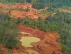 Tambang Emas Ilegal 200 Hektare di Way Kanan Terbongkar, Hasilkan Hingga Rp2,8 Miliar per Hari