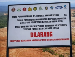 Satgas PKH Hitung Denda Administratif Tambang Nikel PT Mineral Trobos di Maluku Utara
