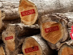 Produk Kayu Jati Indonesia Tertahan di Jerman, Regulasi Deforestasi Uni Eropa Soroti Transparansi Geospasial dan Jejak Koordinat