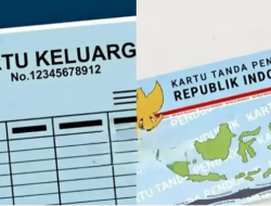 Tanpa Surat Pengantar RT/RW, Ini 6 Layanan Administrasi Kependudukan yang Kini Lebih Mudah Diurus di Dukcapil