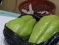 Diduga Dianiaya karena Dua Buah Labu Siam, Pria 56 Tahun di Cugenang Cianjur Meninggal Dunia Setelah Sempat Dirawat Intensif