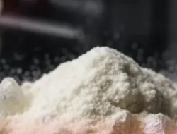 BNN RI Bersama Polda Bali dan Bea Cukai Bongkar Pabrik Narkoba Tersembunyi di Vila Gianyar, WN Rusia Ditangkap