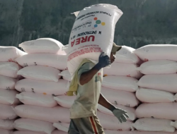 Subsidi Pupuk Rp46,9 Triliun di APBN 2026 Terancam Tak Cukup, Kenaikan Harga Global Picu Risiko Inflasi Pangan