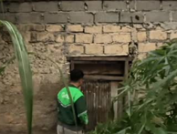 Polisi Gerebek Rumah Diduga Sarang Peredaran Obat Keras di Cileungsi, Dua Pelaku Diamankan