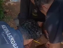 Satres Narkoba Polres Karawang Tangkap Pengedar Obat Keras Ilegal di Cikampek, ratusan Pil Disita