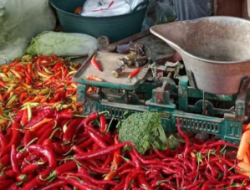 Bumbu Dapur Merangkak Naik, Harga Cabai Rawit dan Bawang Merah di Tulungagung Berfluktuasi