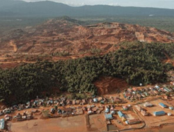 Tambang Ilegal di Hutan Lindung Kabaena Disorot, PT TMS Kena Denda Rp2,09 Triliun