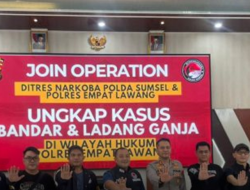 Polres Empat Lawang Temukan Ladang Ganja 3 Hektare, 200 Kg Siap Edar Disita