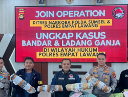 Polda Sumsel Bongkar Ladang Ganja 20 Hektare di Empat Lawang, Satu Pengendali Jaringan Ditangkap