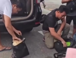 Ditresnarkoba Polda Sulteng Tangkap 6 Kurir Pembawa 16 Kg Sabu di Bandara Palu