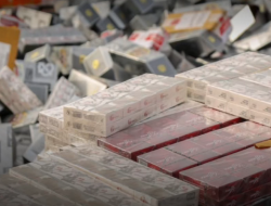 Bea Cukai Malang Gagalkan Penyelundupan Rokok Ilegal di Tol Malang–Pandaan, 192 Ribu Batang Diamankan