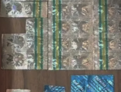 Satresnarkoba Polres Garut Ringkus Pengedar Obat Terlarang, Puluhan Psikotropika Diamankan